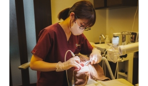 医療法人社団正匡会　木村歯科医院